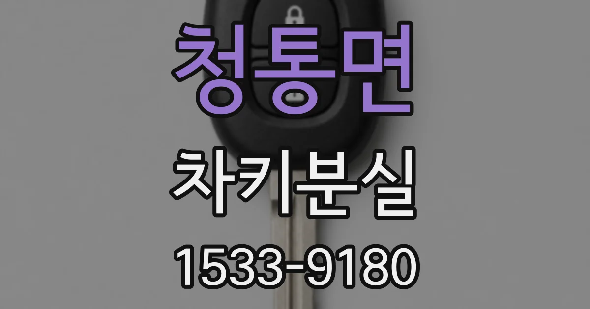 청통면 차키분실