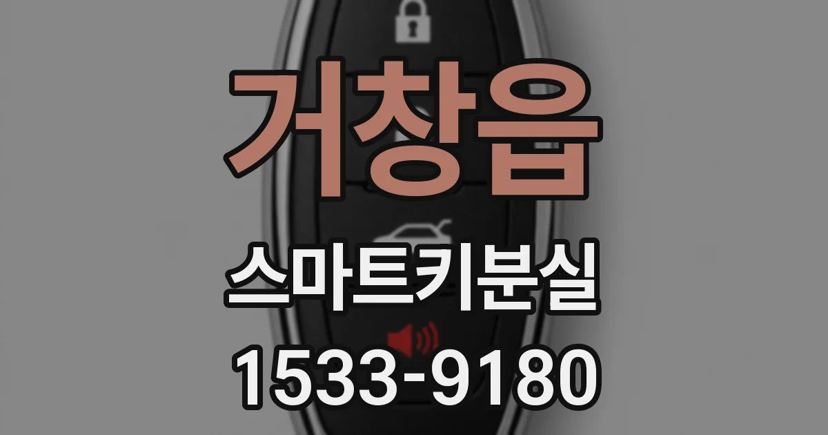거창읍 스마트키분실