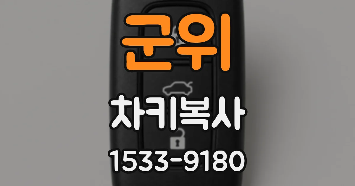 군위 차키복사