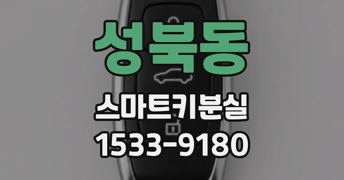 성북동 스마트키분실