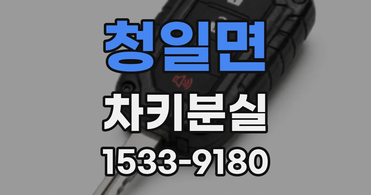 청일면 차키분실