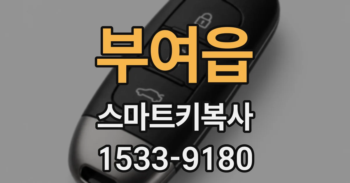 부여읍 스마트키복사