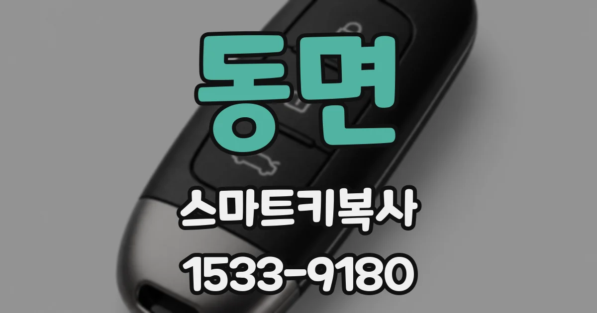 동면 스마트키복사