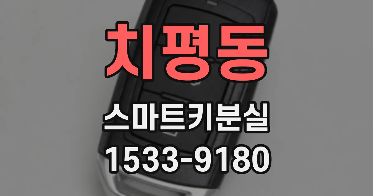치평동 스마트키분실