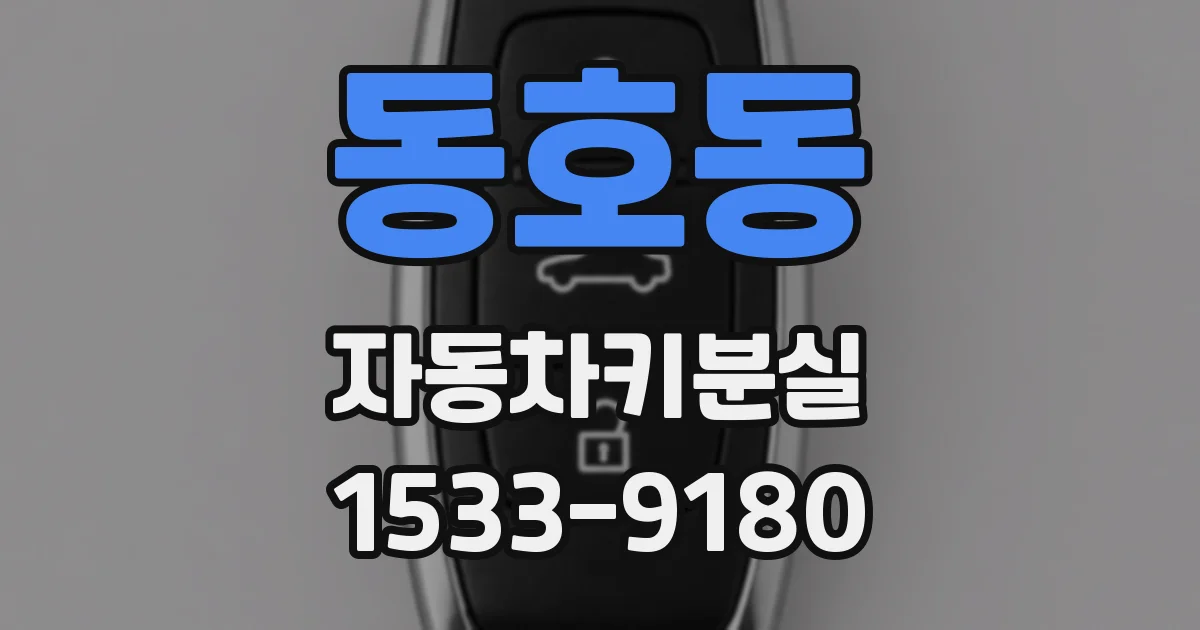 동호동 자동차키분실