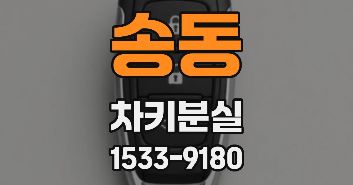송동 차키분실
