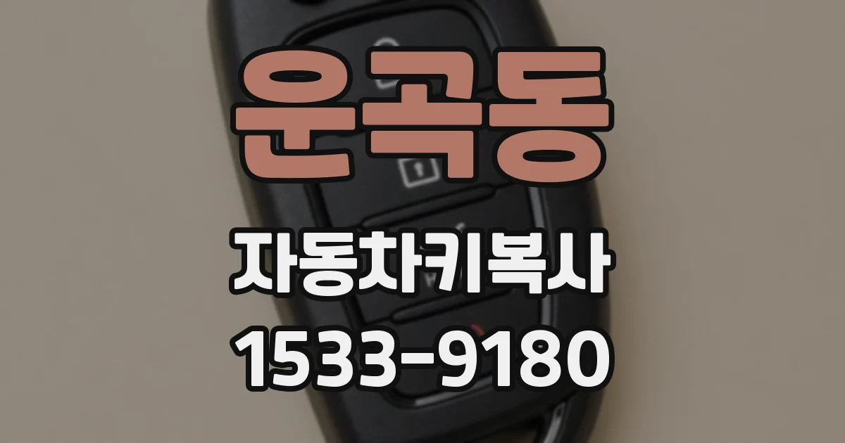 운곡동 자동차키복사