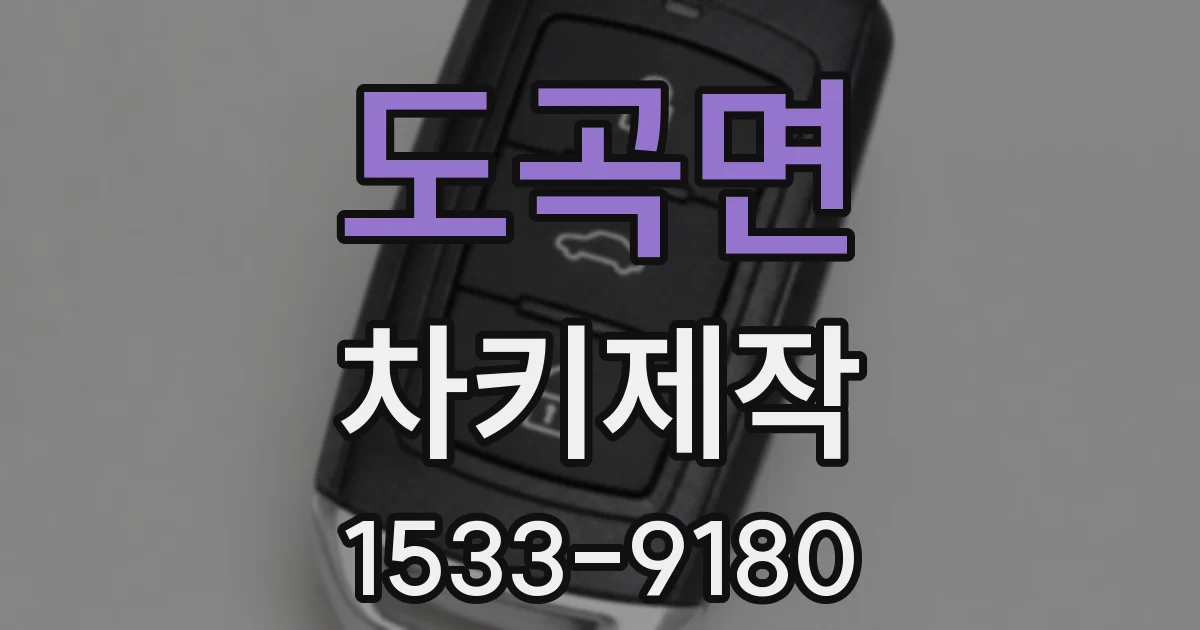 도곡면 차키제작