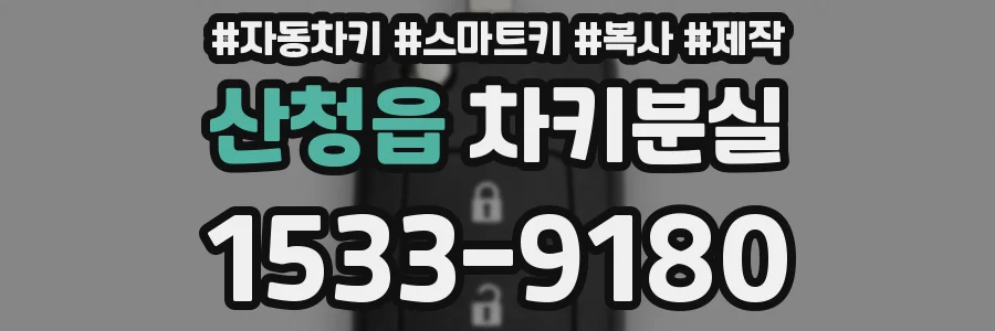 산청읍 차키분실