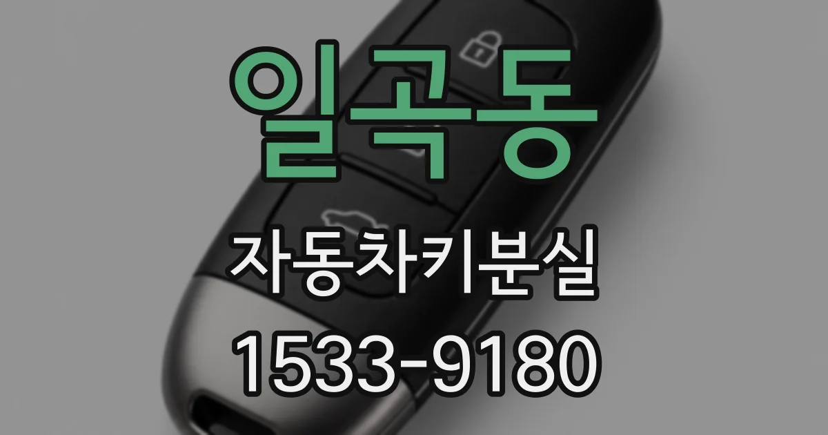 일곡동 자동차키분실