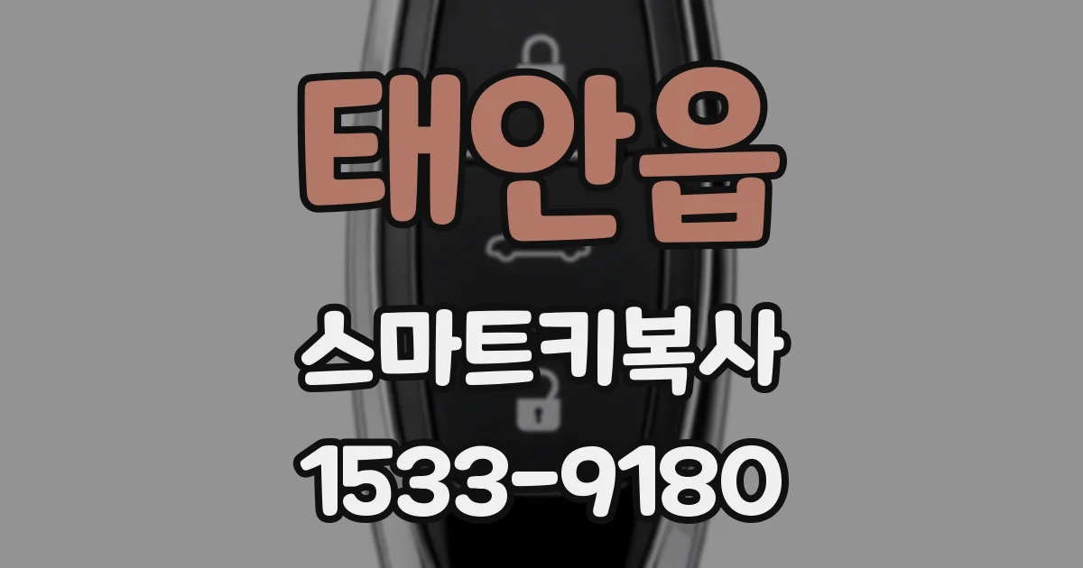 태안읍 스마트키복사