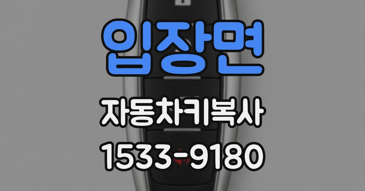 입장면 자동차키복사