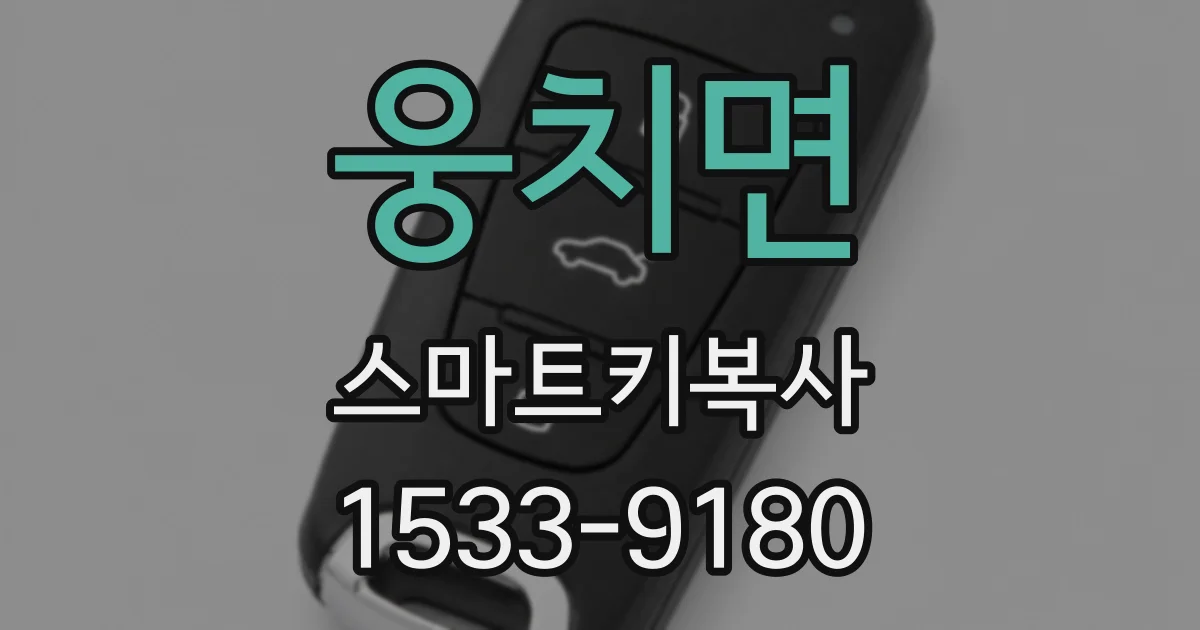 웅치면 스마트키복사