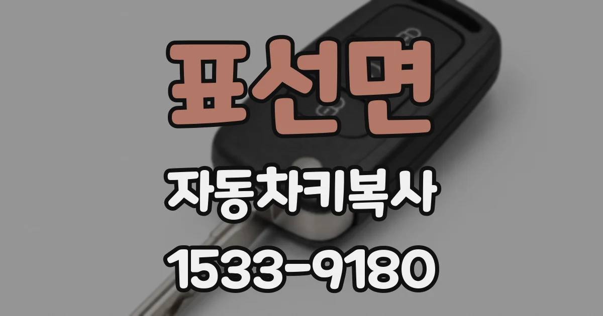 표선면 자동차키복사