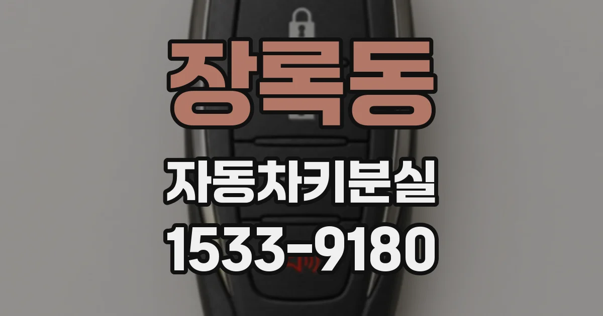 장록동 자동차키분실