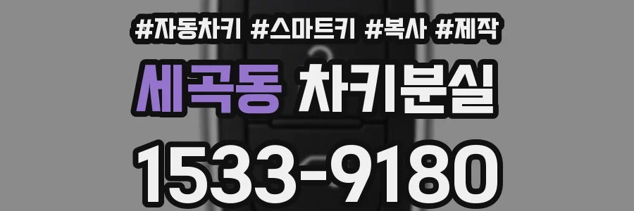 세곡동 차키분실