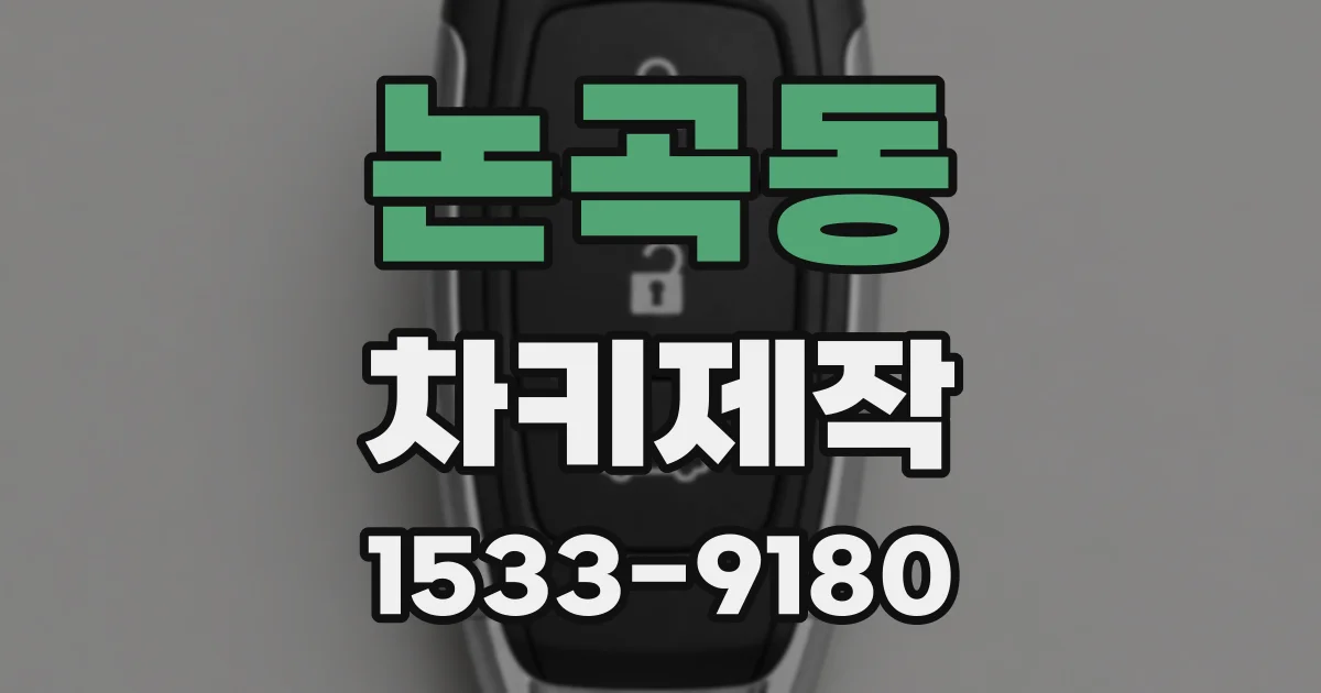 논곡동 차키제작