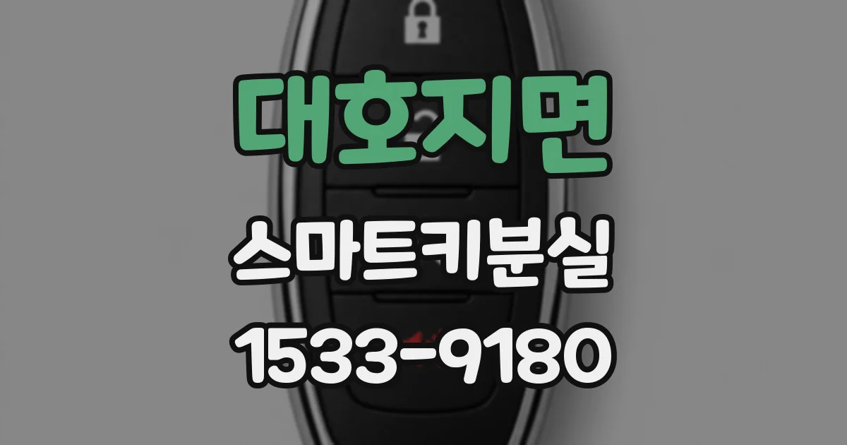 대호지면 스마트키분실
