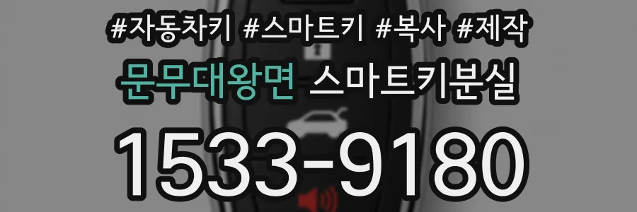 문무대왕면 스마트키분실