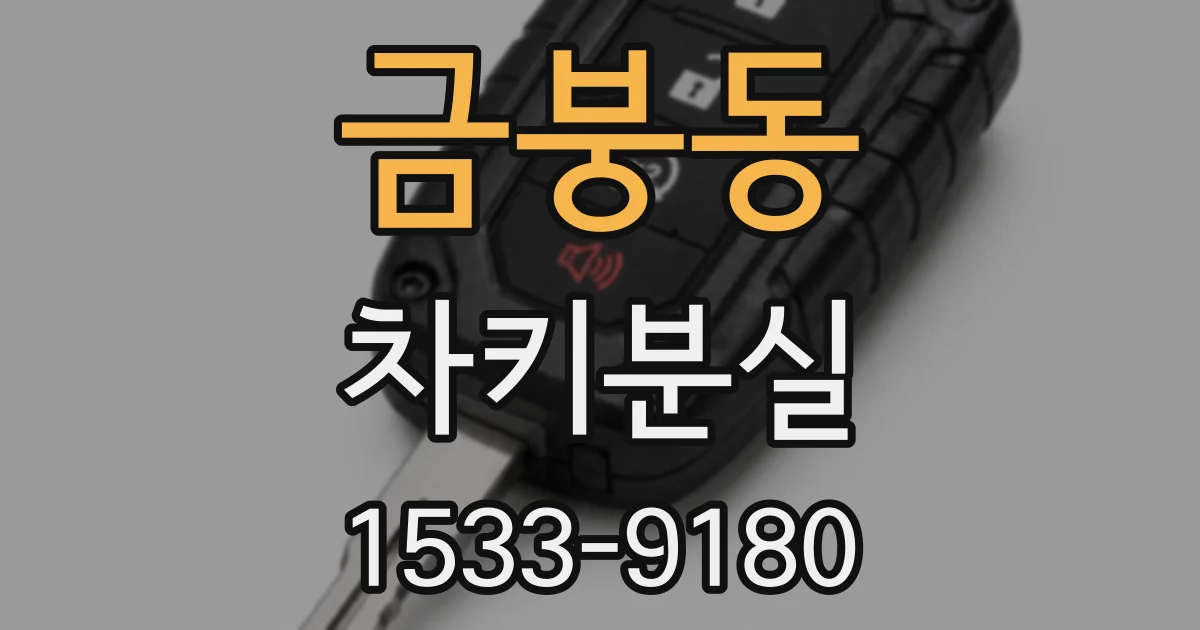 금붕동 차키분실