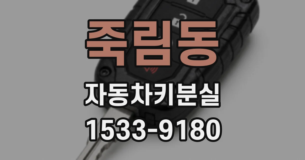 죽림동 자동차키분실