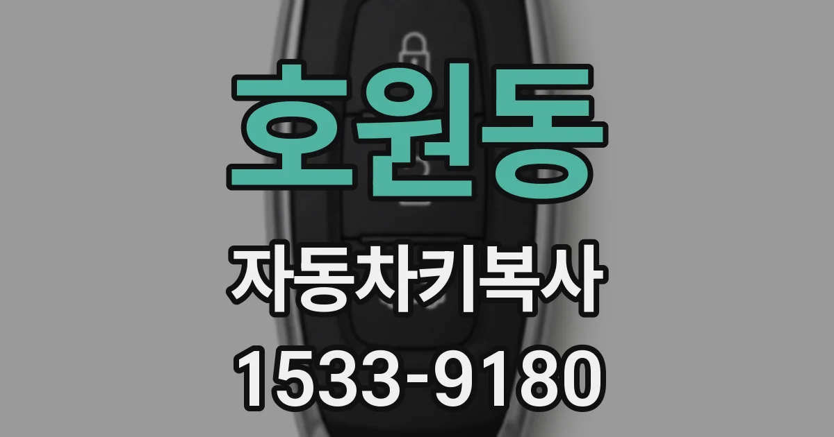 호원동 자동차키복사