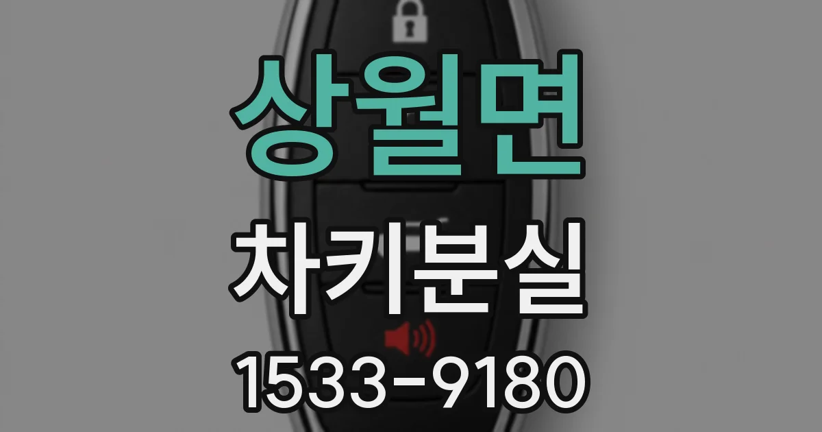 상월면 차키분실