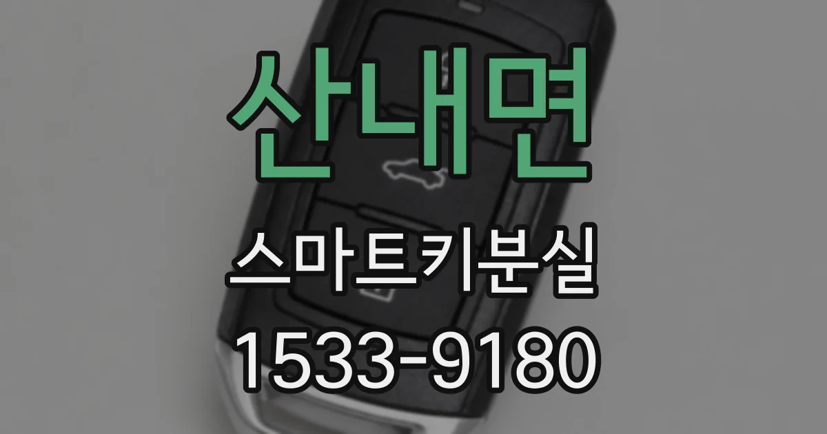 산내면 스마트키분실