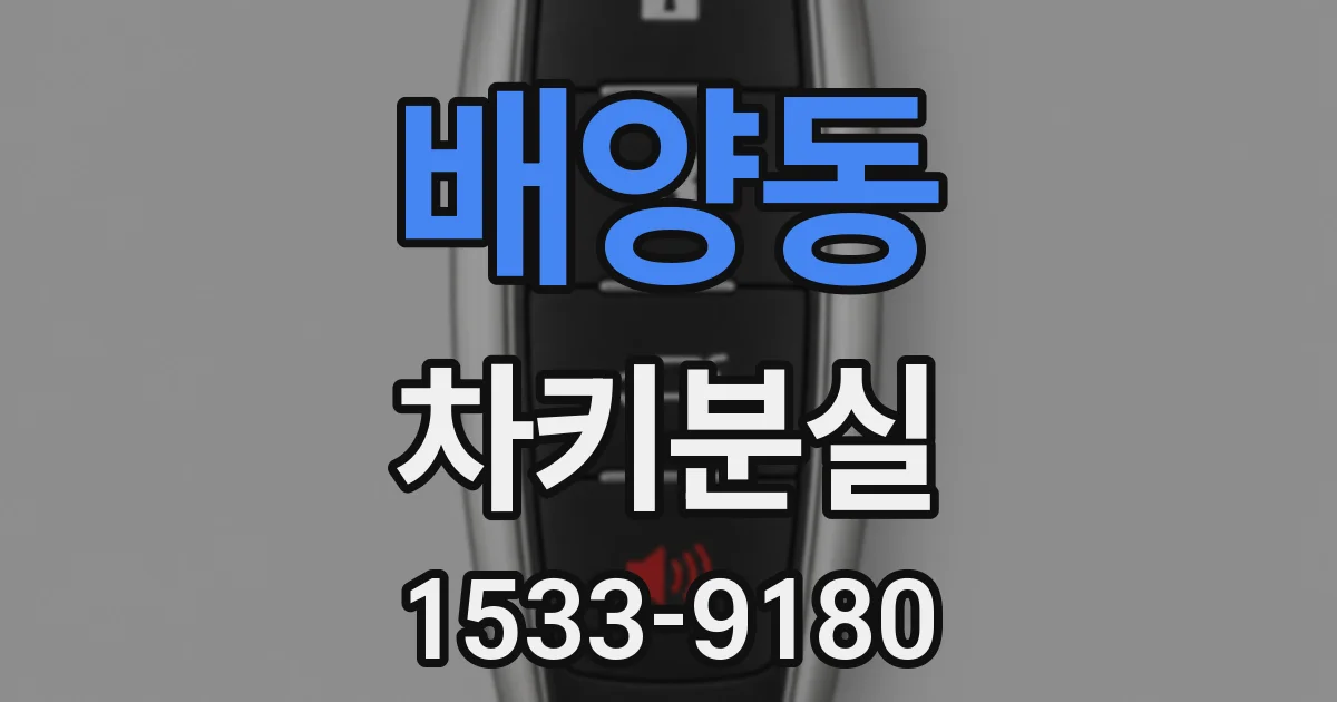 배양동 차키분실