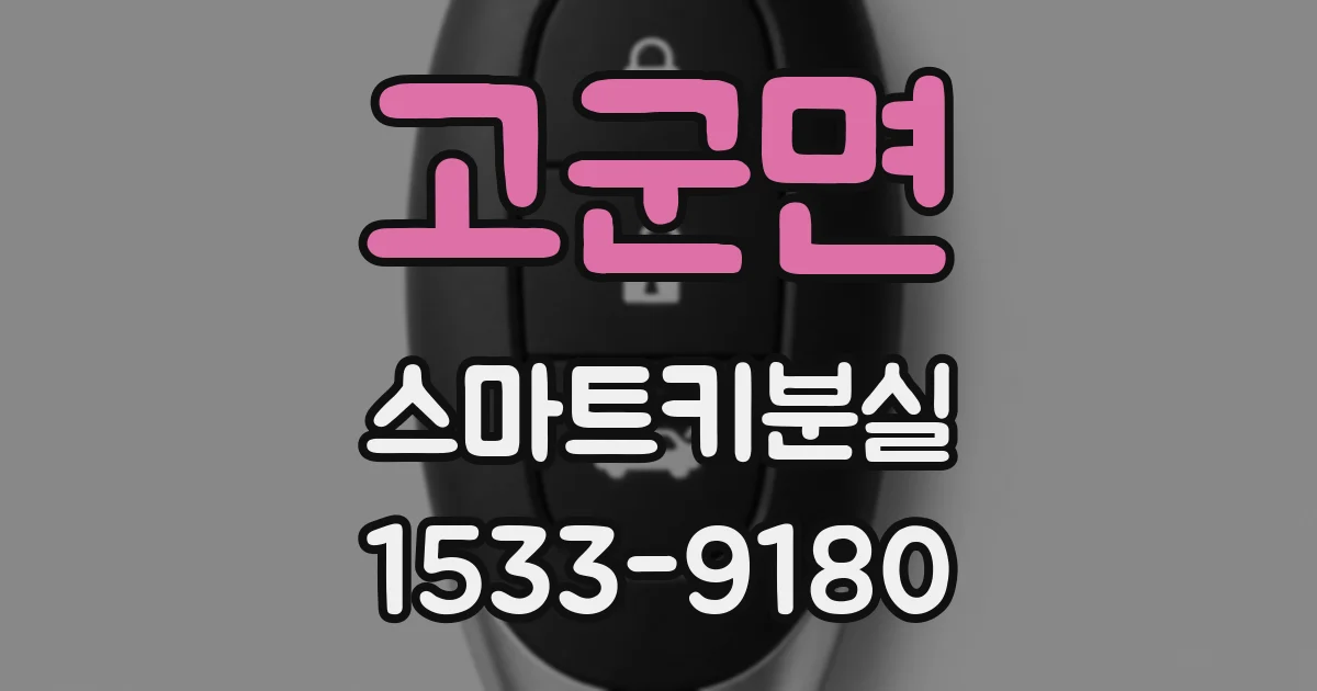 고군면 스마트키분실