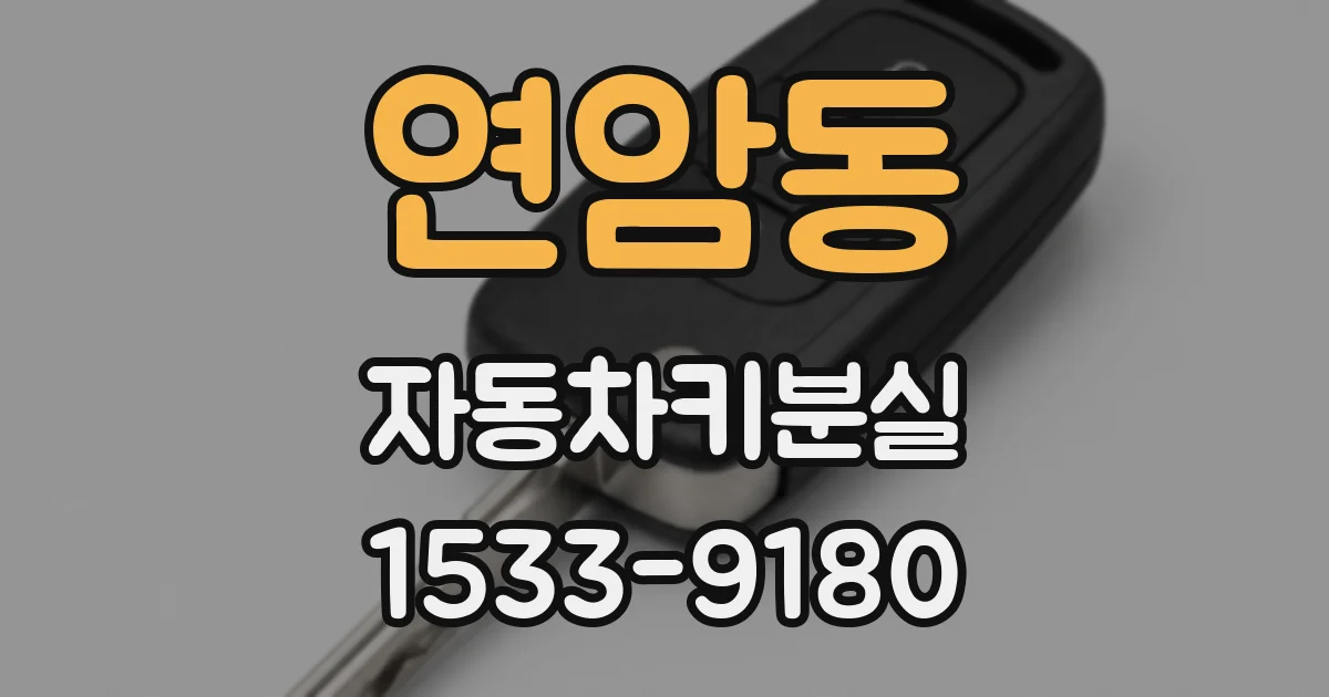 연암동 자동차키분실