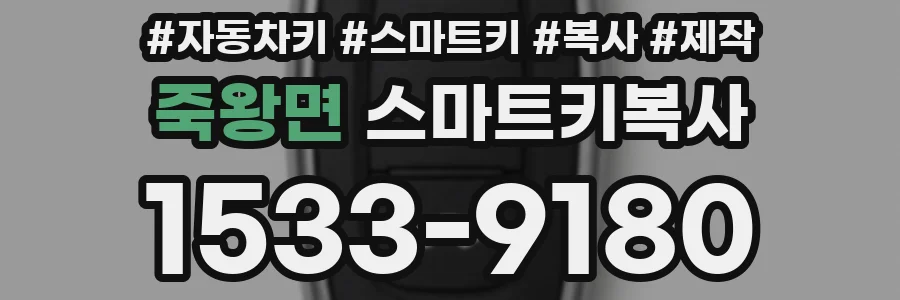 죽왕면 스마트키복사