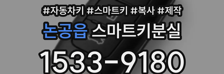 논공읍 스마트키분실