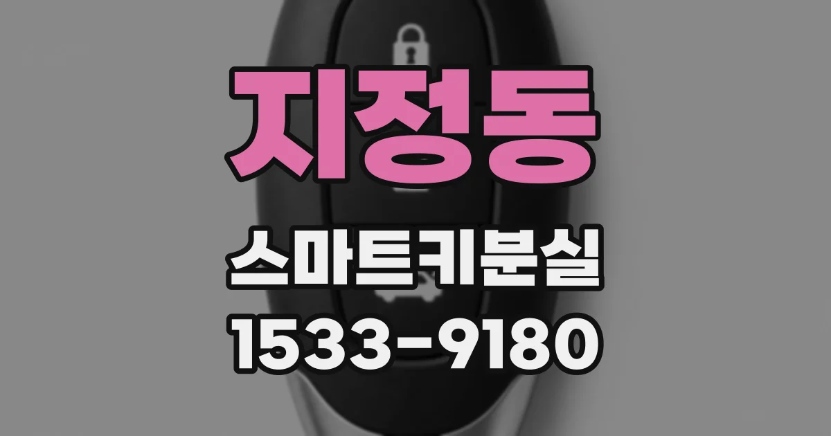 지정동 스마트키분실