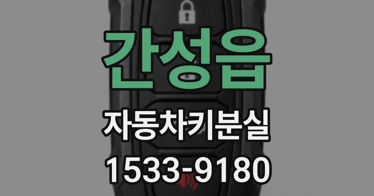 간성읍 자동차키분실