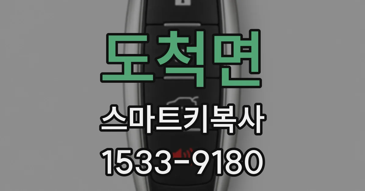 도척면 스마트키복사