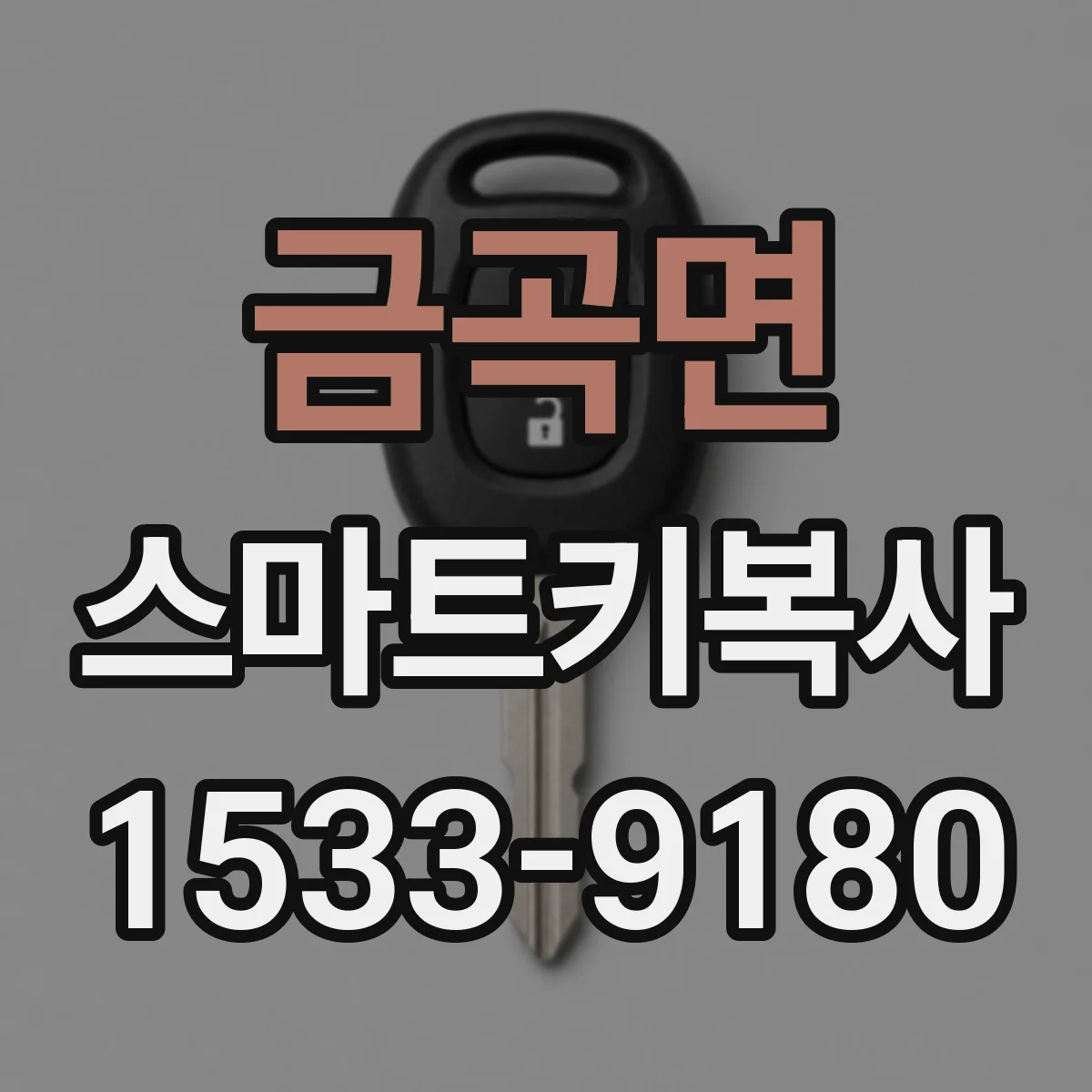 금곡면 스마트키복사