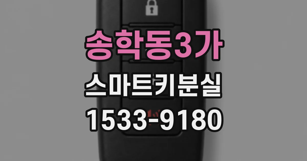 송학동3가 스마트키분실