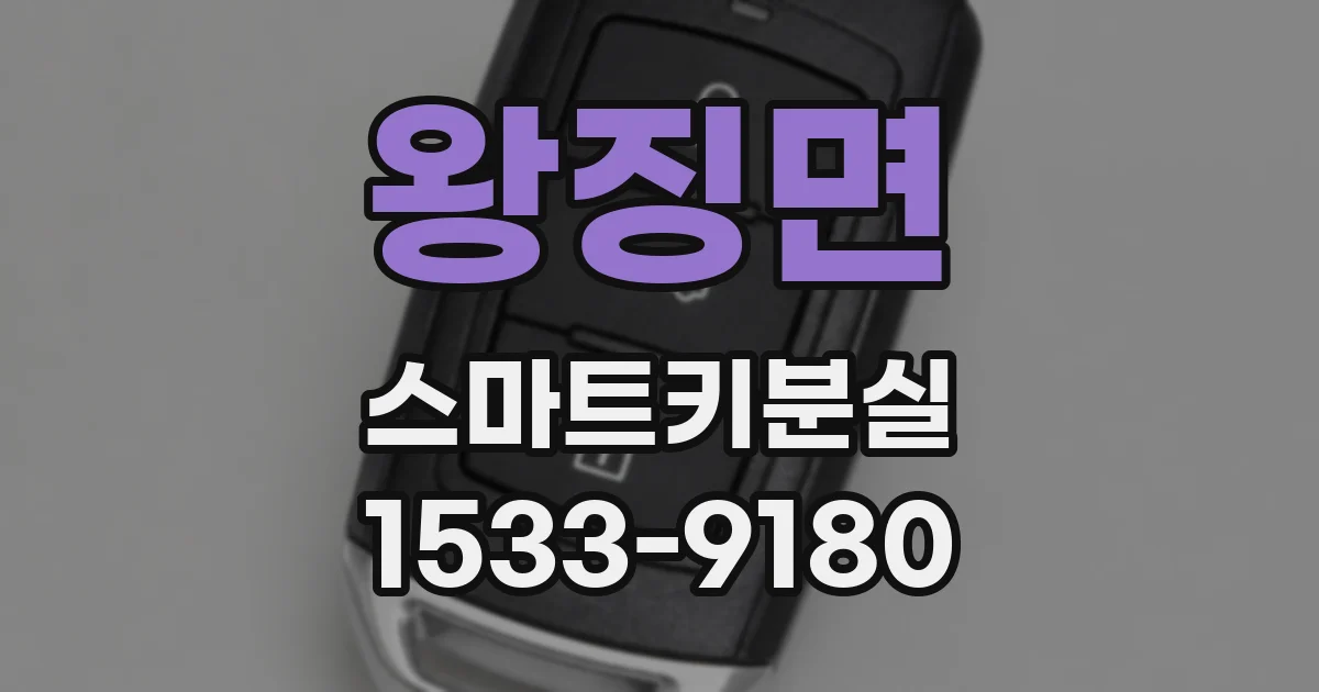 왕징면 스마트키분실