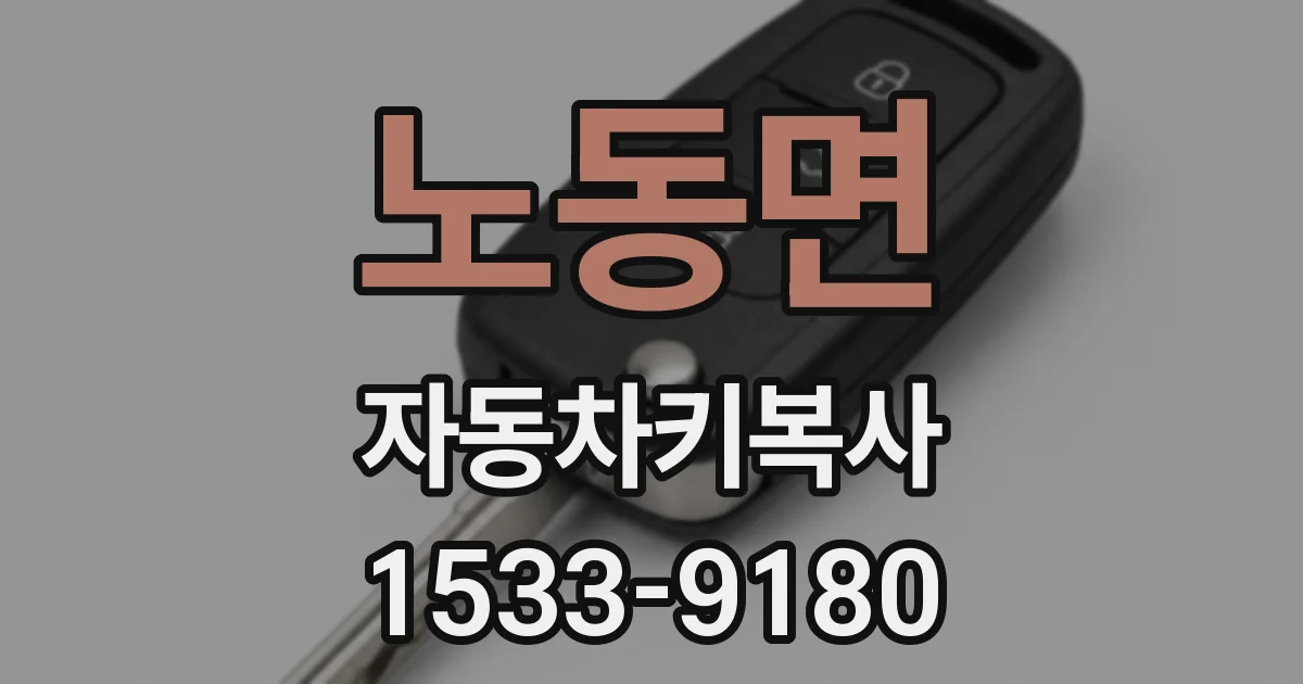 노동면 자동차키복사