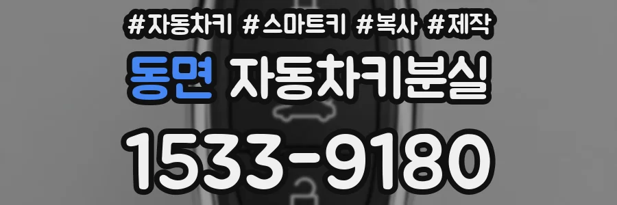 동면 자동차키분실