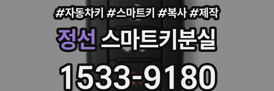 정선 스마트키분실