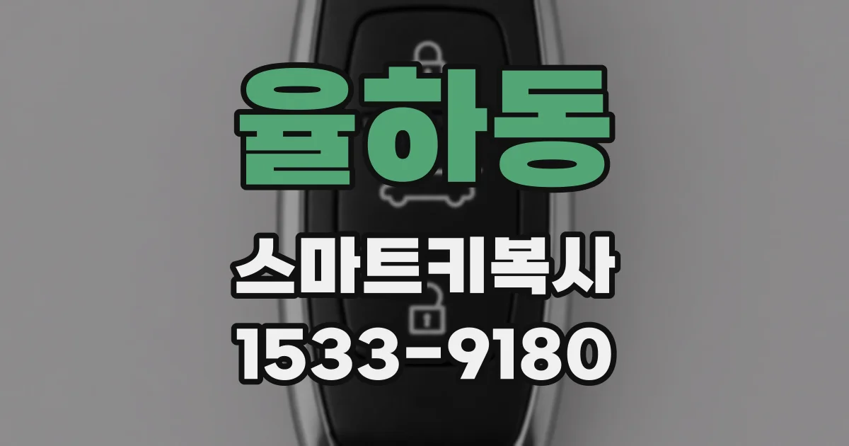 율하동 스마트키복사