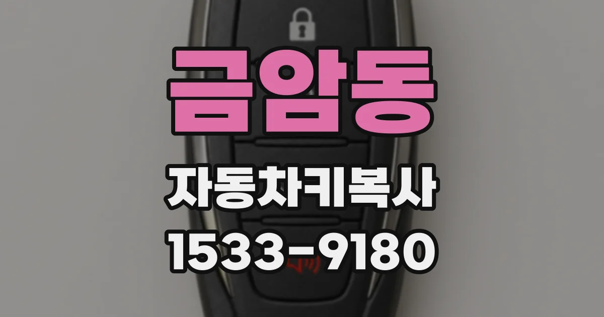 금암동 자동차키복사
