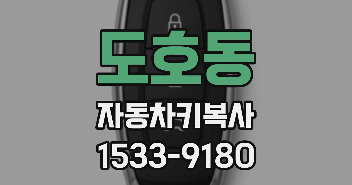 도호동 자동차키복사
