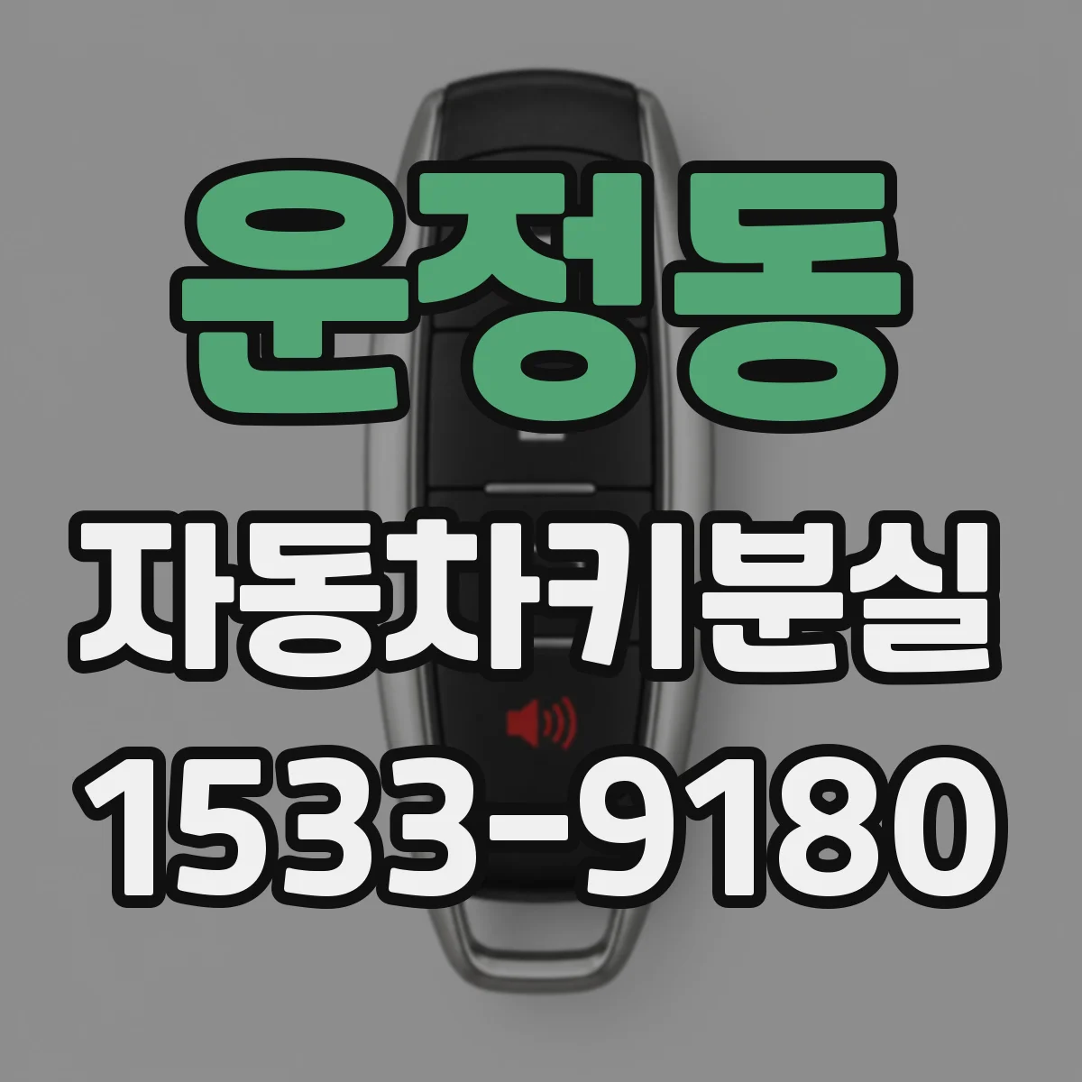 운정동 자동차키분실