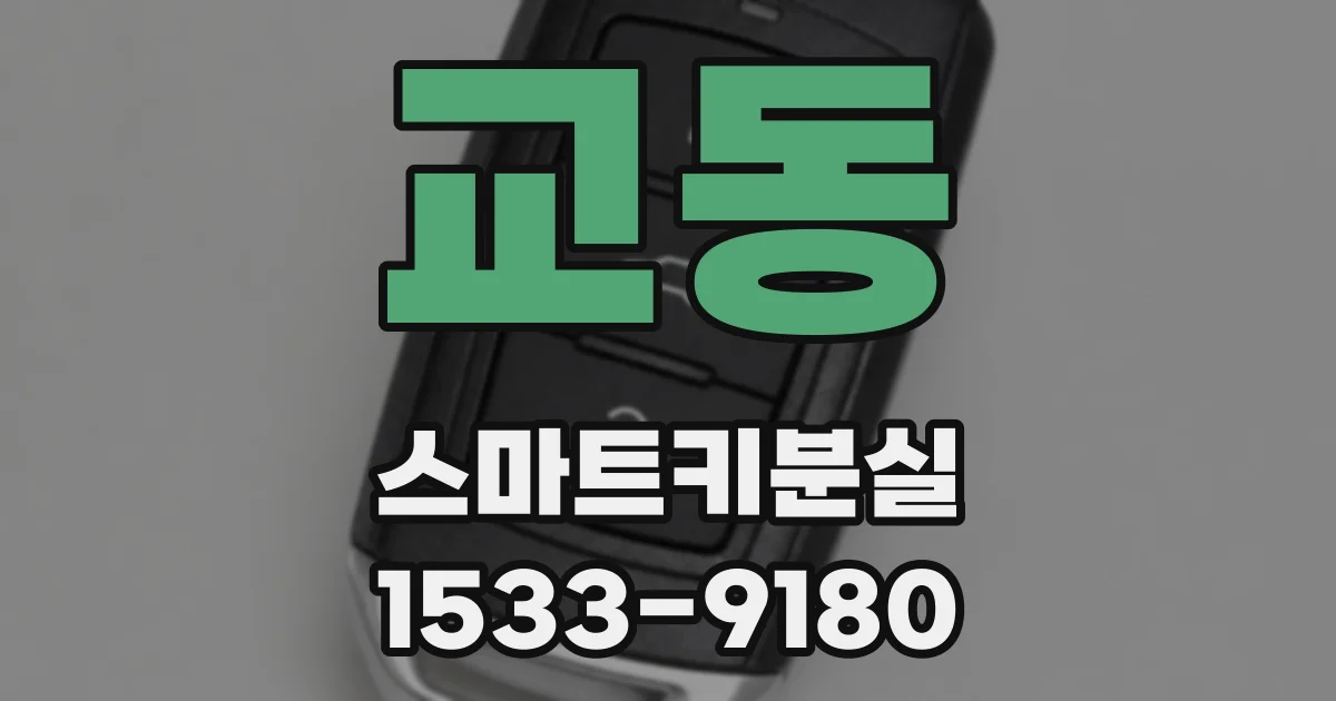 교동 스마트키분실