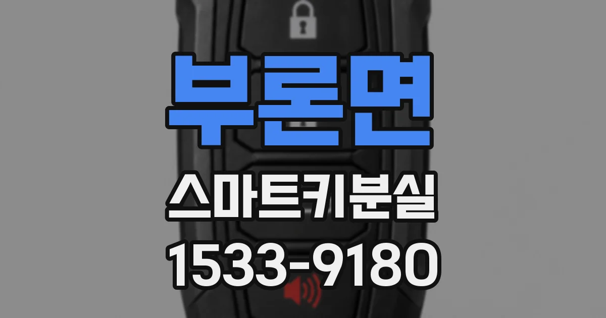 부론면 스마트키분실