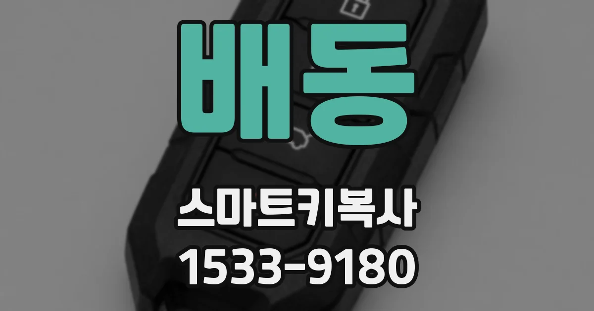 배동 스마트키복사