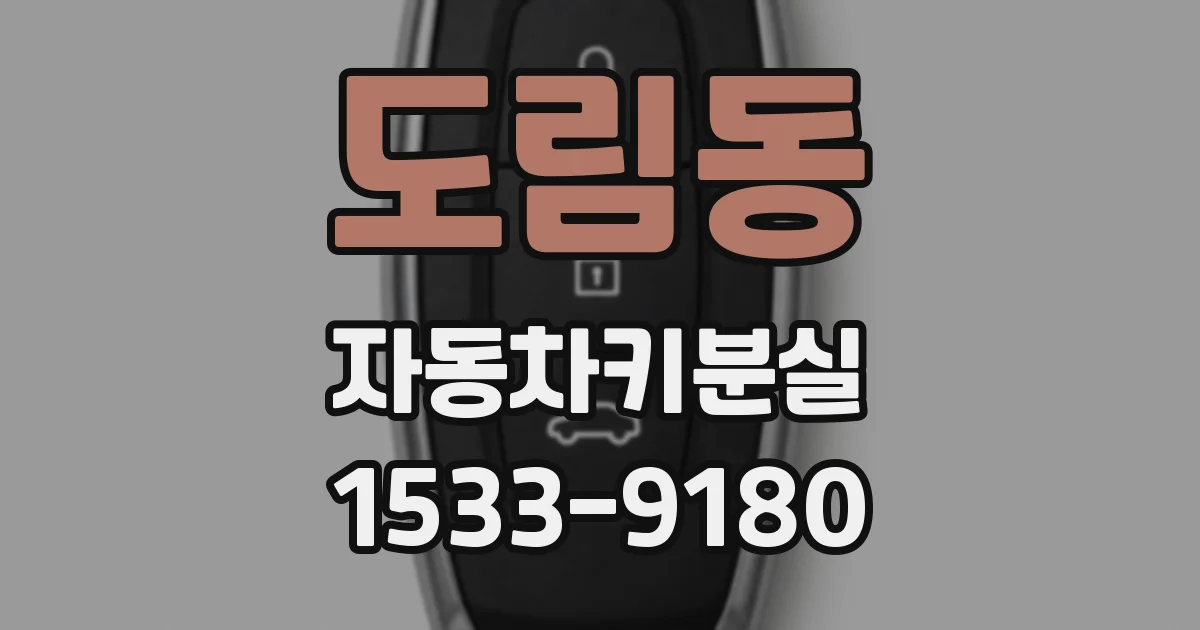 도림동 자동차키분실